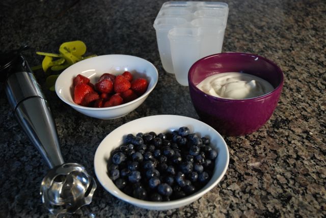 fruit and yogurt pops